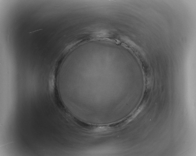 X0000101481161200807281034