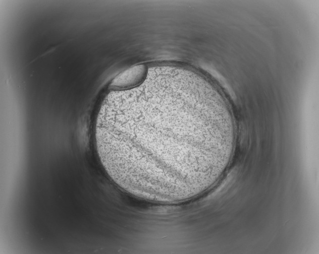 X0000101481163200807281033