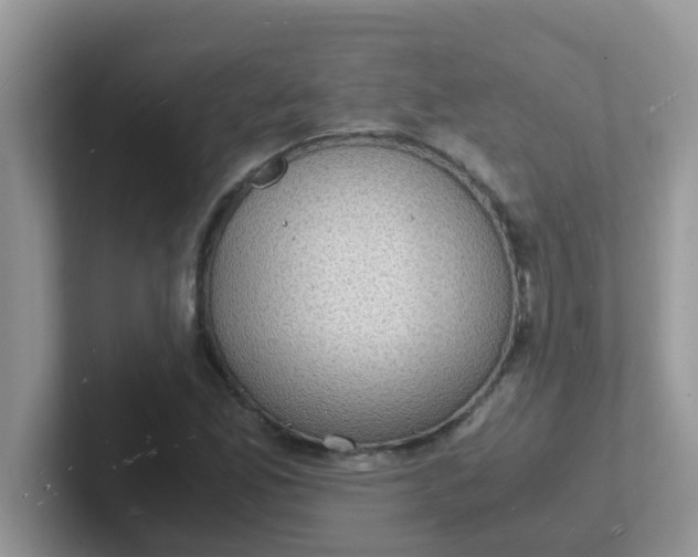 X0000101481165200807281033