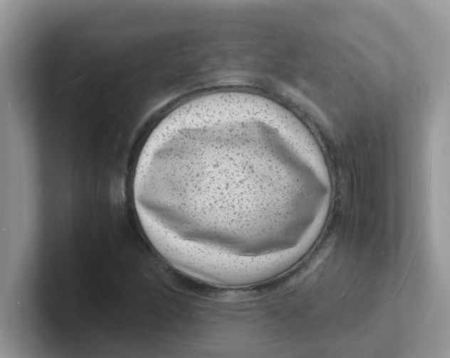 X0000101481166200807281033