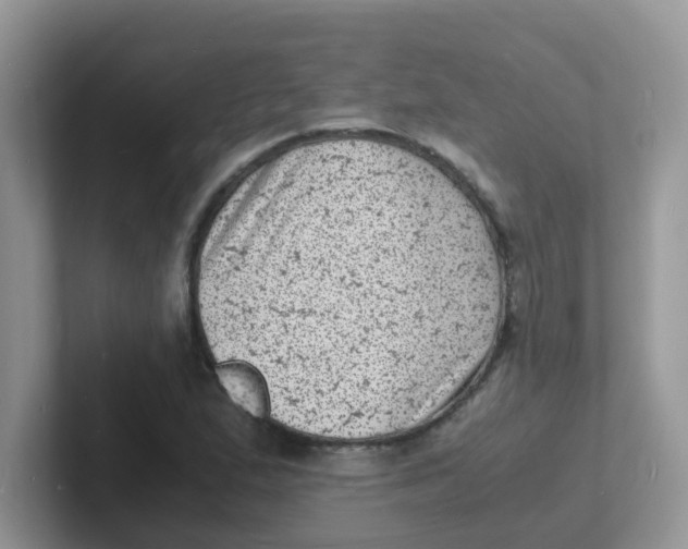 X0000101481167200807281033