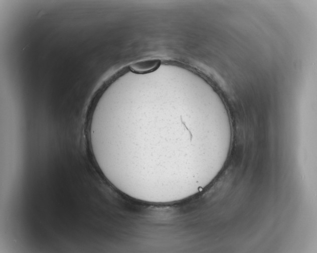 X0000101481168200807281033