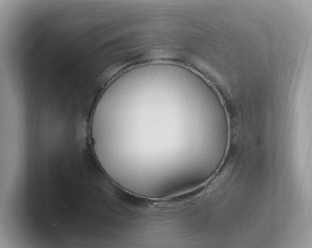 X0000101481169200807281033