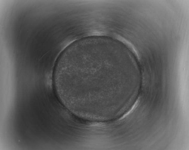 X0000101481170200807281033