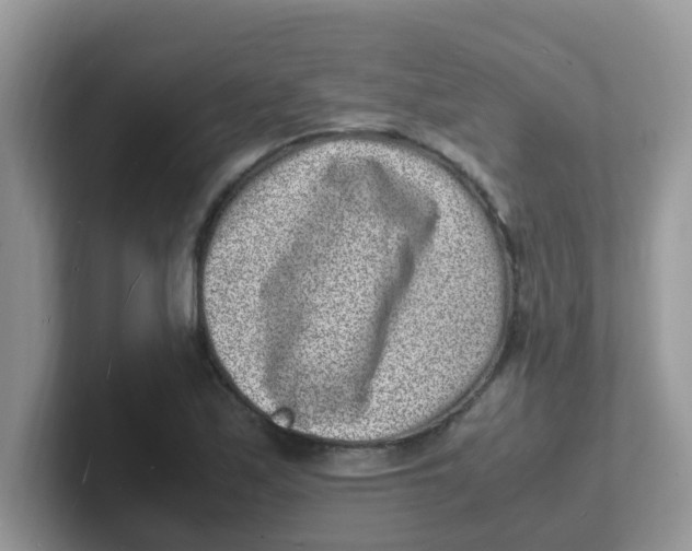 X0000101481171200807281033