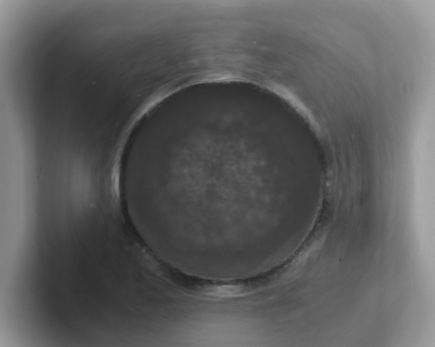 X0000101481173200807281033