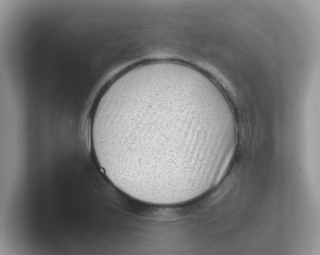 X0000101481175200807281033