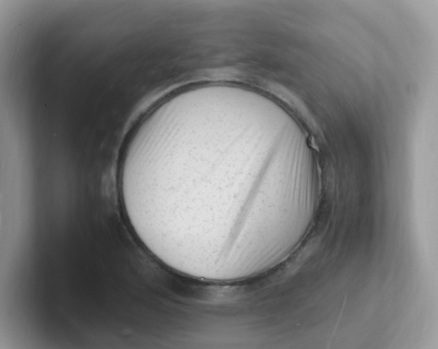 X0000101481176200807281033