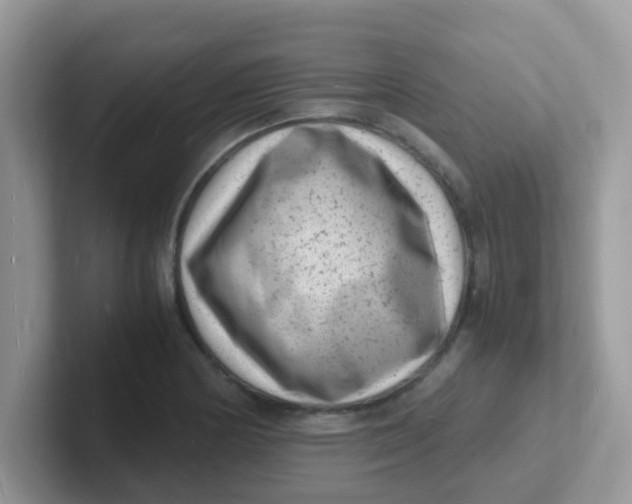 X0000101481178200807281033