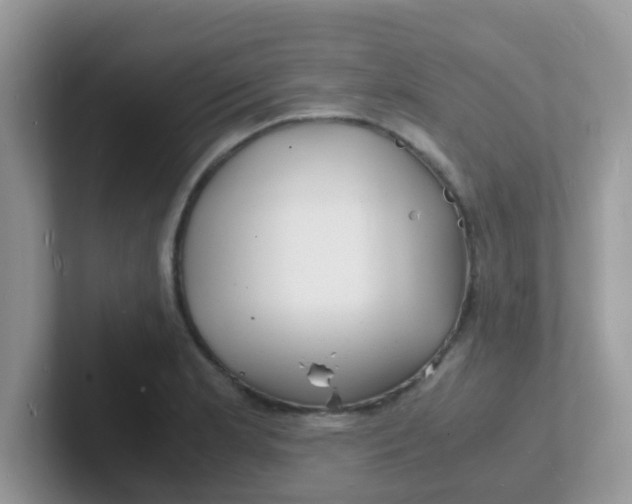 X0000101481181200807281033