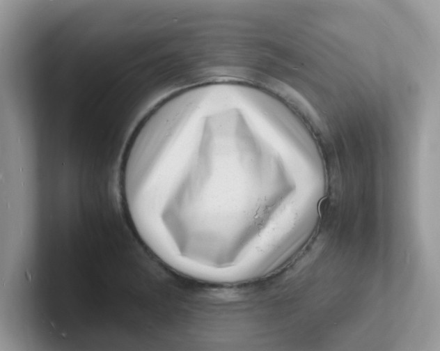 X0000101481182200807281033