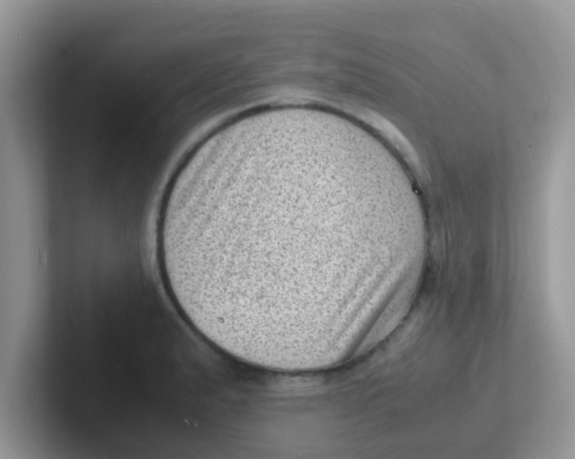 X0000101481183200807281033