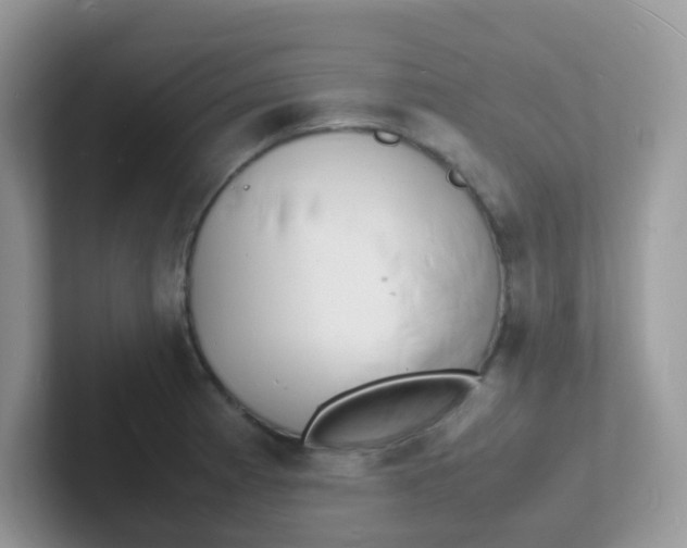 X0000101481185200807281033