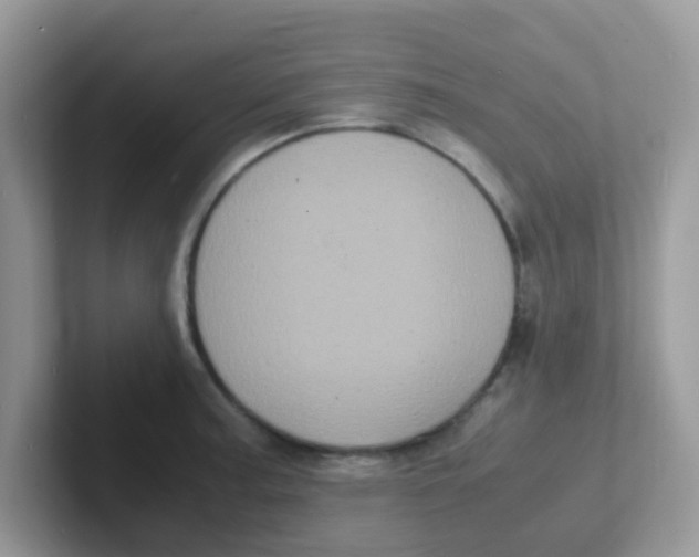 X0000101481187200807281033