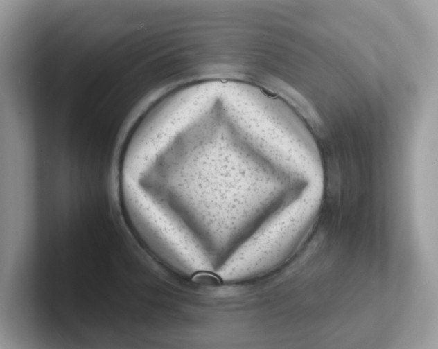 X0000101481188200807281033