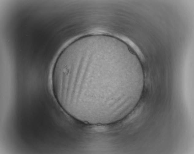 X0000101481191200807281033