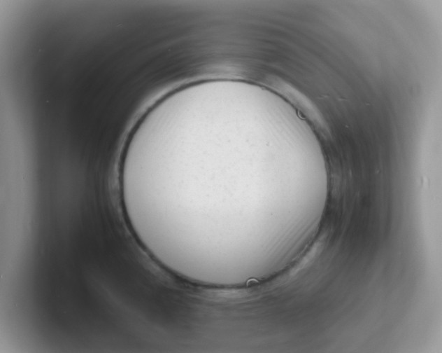 X0000101481192200807281033