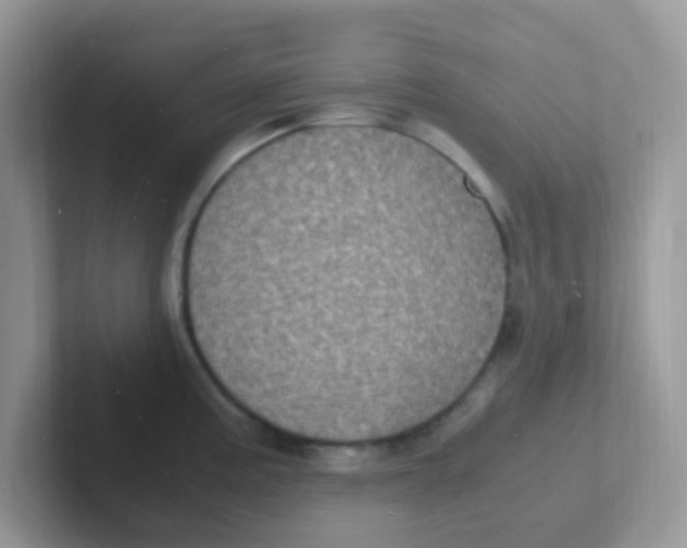 X0000101481195200807281033