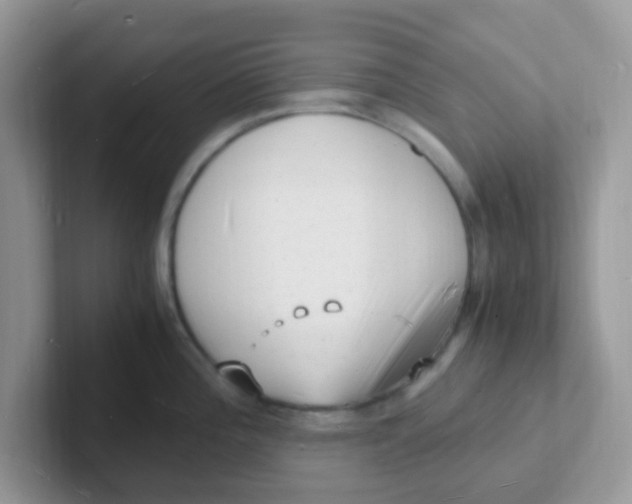 X0000101481196200807281033