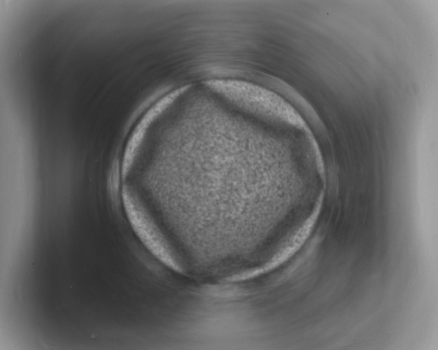 X0000101481198200807281033