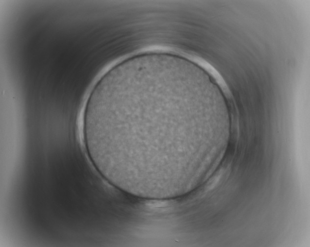 X0000101481199200807281033