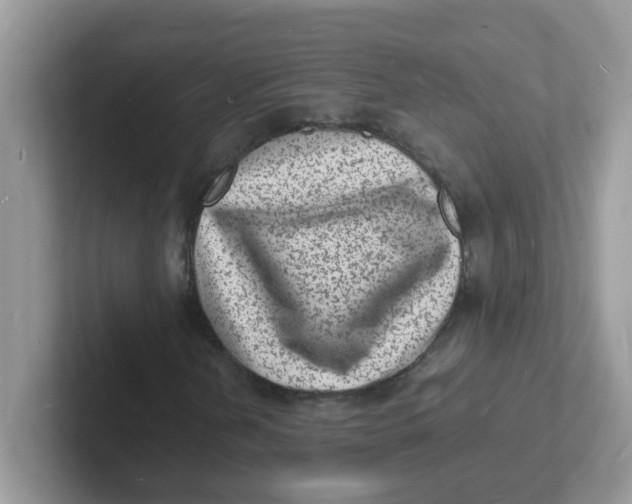 X0000101481202200807281032