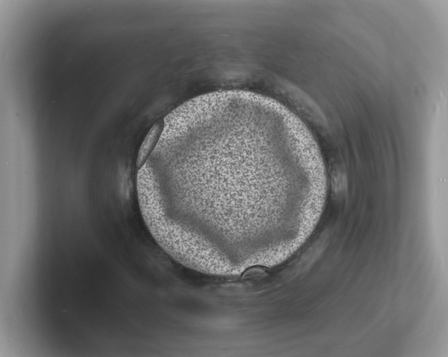 X0000101481204200807281032