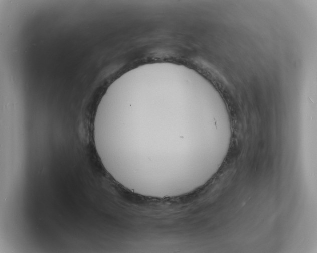 X0000101481207200807281032