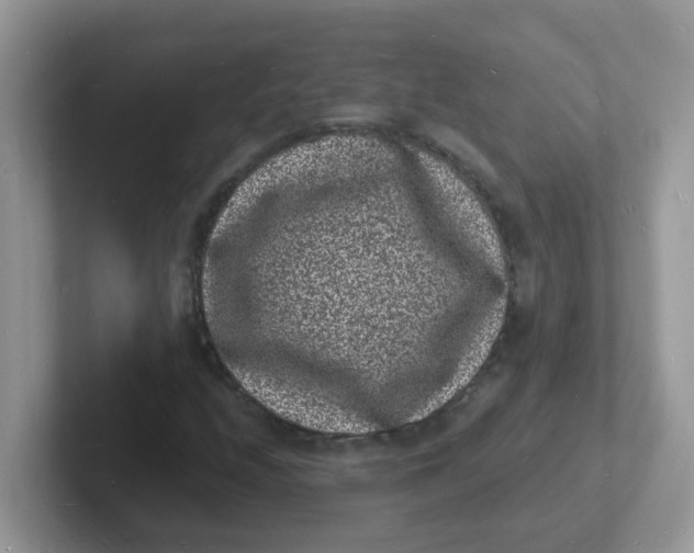 X0000101481208200807281032