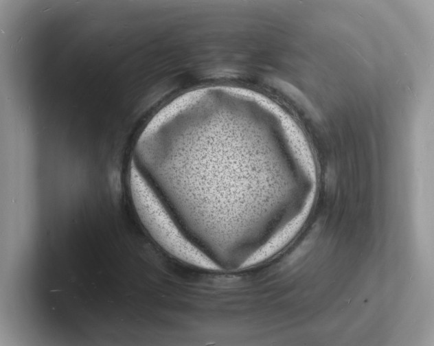 X0000101481209200807281032