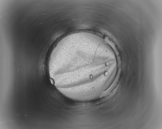 X0000101481210200807281033