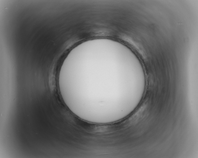 X0000101481211200807281033