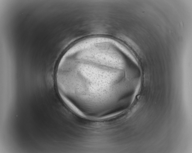 X0000101481212200807281033