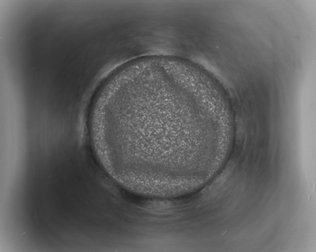 X0000101481215200807281033