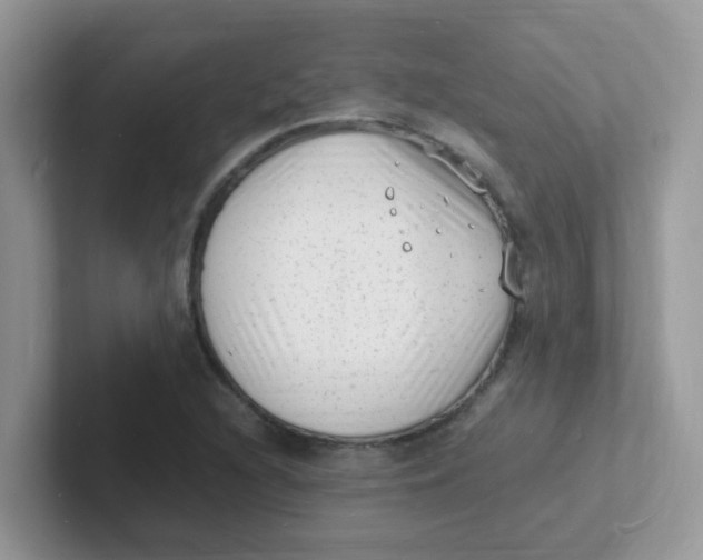 X0000101481216200807281033