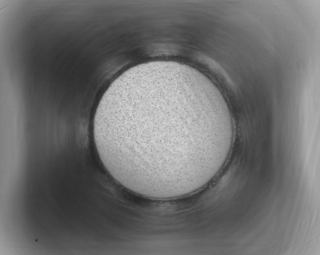 X0000101481217200807281033