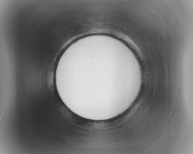 X0000101481220200807281033