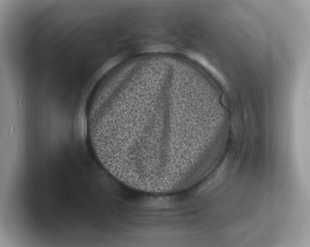 X0000101481221200807281033