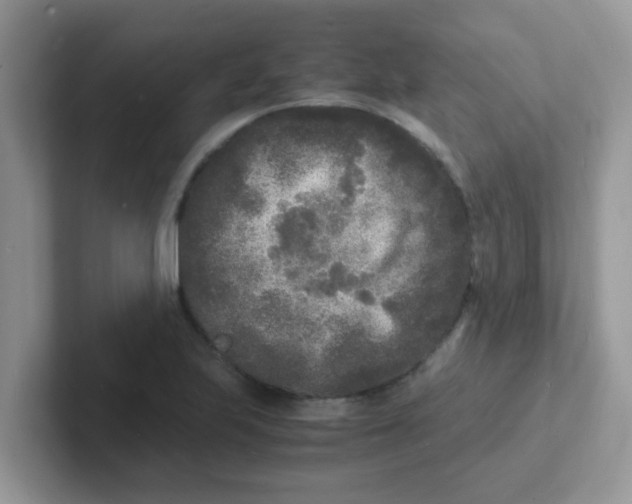 X0000101481223200807281033