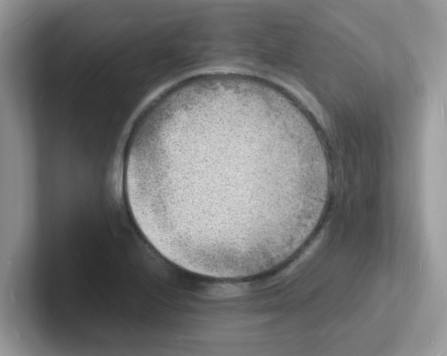 X0000101481224200807281033