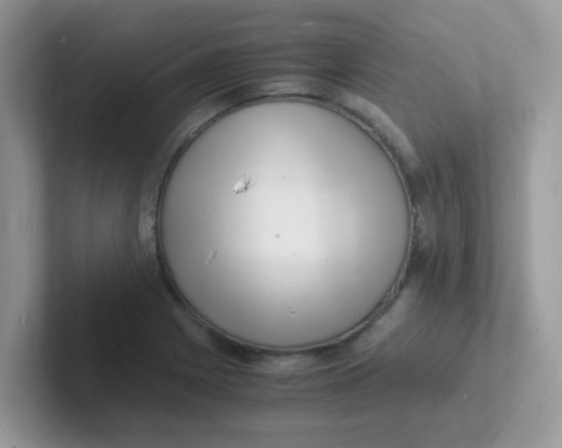 X0000101481225200807281033