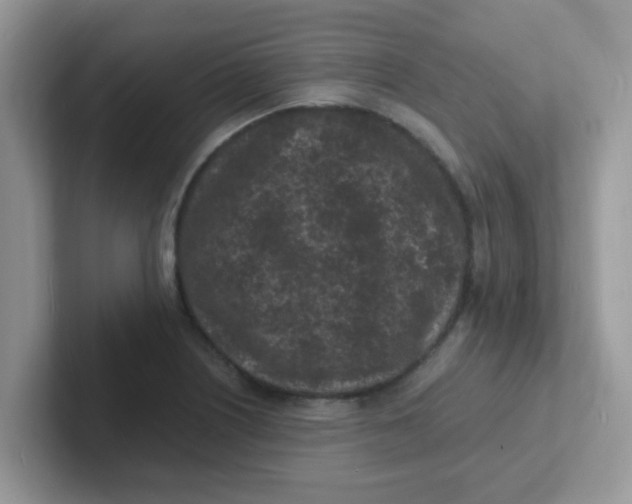 X0000101481226200807281033