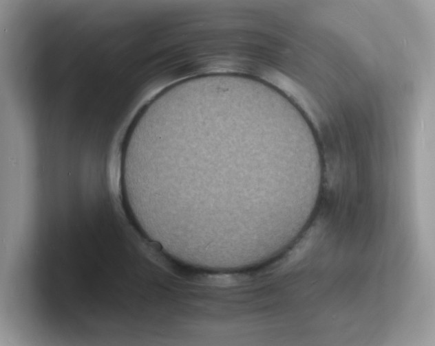 X0000101481227200807281033