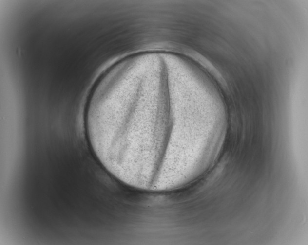 X0000101481230200807281033