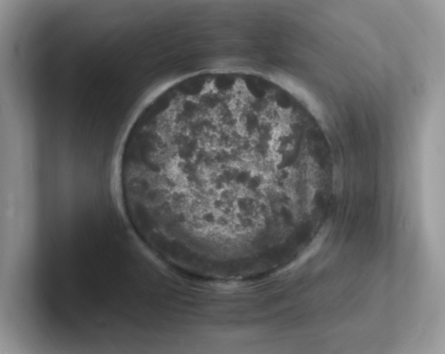 X0000101481231200807281033