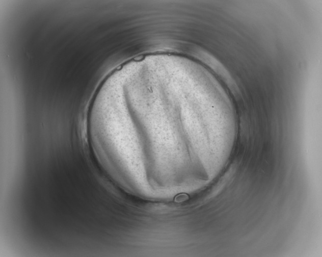 X0000101481234200807281033