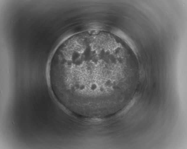 X0000101481235200807281033