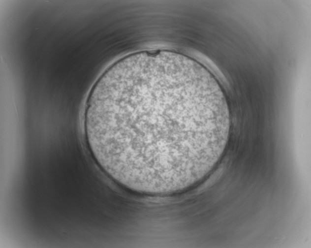 X0000101481236200807281033