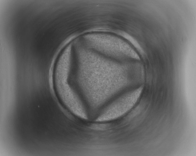 X0000101481237200807281033