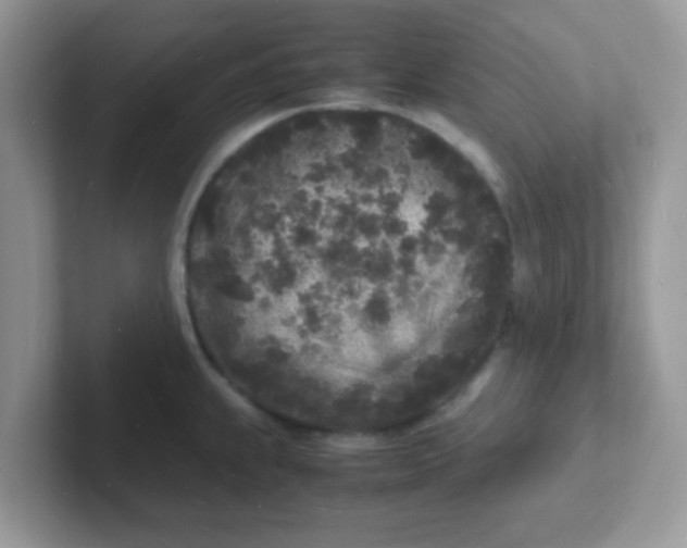 X0000101481239200807281033